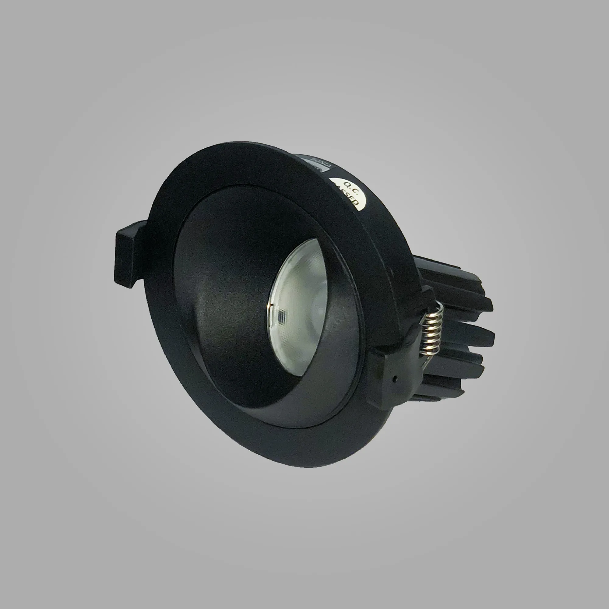 Bonia 15 Recessed Ceiling Luminaires Dlux Round Recess Ceiling